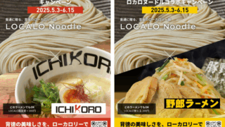 14食で1kg減量】話題のLOCALO Noodle 8食セット☆送料込 単品